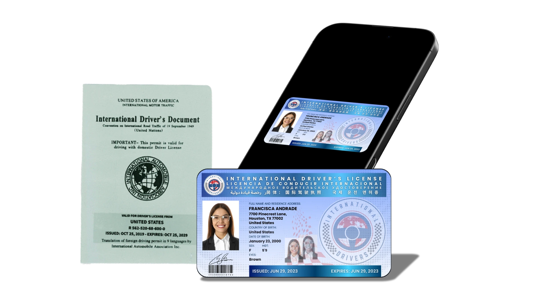 Driver's License Sample